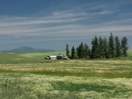 The Palouse Eastern Washington