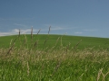 The Palouse Eastern Washington