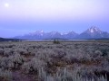 Teton Morning