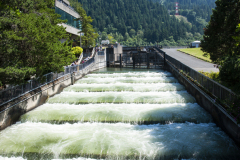 Fish Ladder