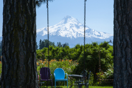Mount Hood