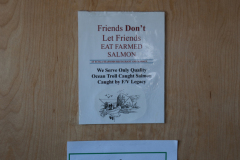 Farmed Salmon