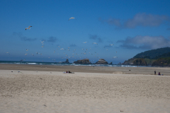Oregon Coast Line