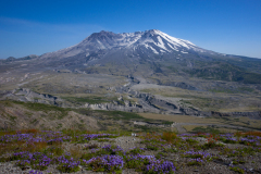 Mt. St. Helens