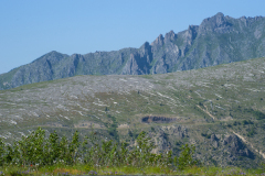 Mt. St. Helens Blast Area