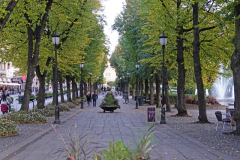 DSC06835