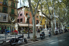 DSC08853