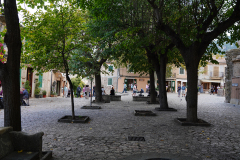 DSC08970