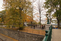 DSC09254
