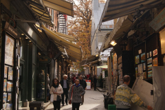 DSC09395