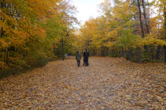 DSC09471