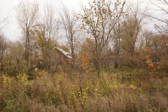 DSC09573