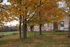 DSC09596