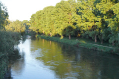 DSC04853