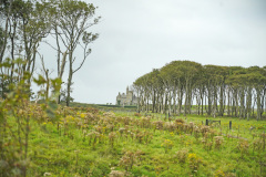 DSC08885