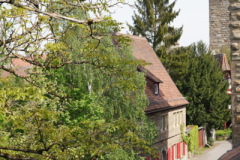 DSC03454