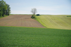 DSC03560