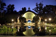 Botanical Garden at Night in Balboa Park San Diego