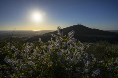 View from Penasquitos to Pacific Ocean