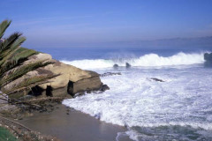 LaJolla Cove High Surf