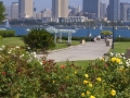 San Diego From Coronado Park