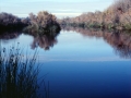 San Diego River Mission Valley