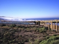 Torrey Pines Beach, Bridge and Coaster