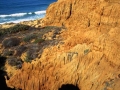 Torrey Pines Cliffs
