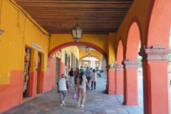 DSC01615
