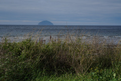 DSC07930
