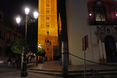 DSC00217