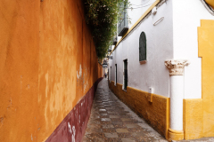 DSC09830