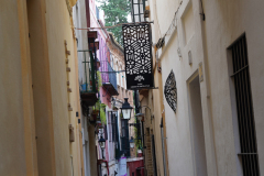 DSC09870