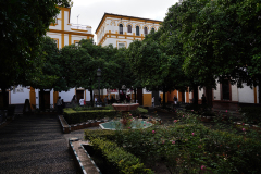 DSC09876