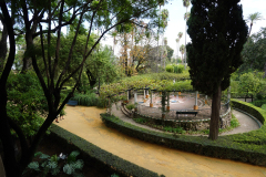 DSC09926