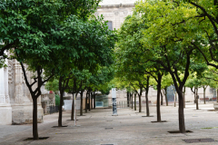 DSC09951