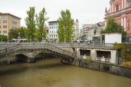DSC01210