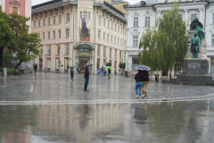 DSC01217
