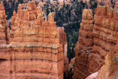 Bryce Canyon Hikers