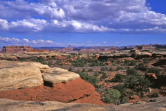 In Canyon Lands South