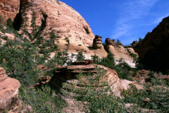 Zion Park01