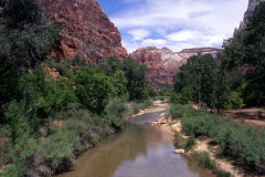 Zion Park02