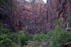 Zion Park03
