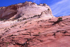 ZionParkRock