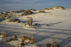 White Sands New Mexico