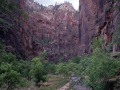 Zion Park03