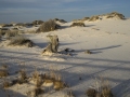 White Sands New Mexico