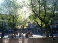 Toledo Town Plaza