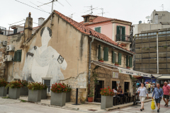 DSC00501