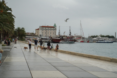 DSC00531